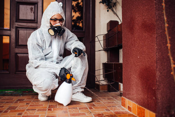 Attic and Crawl Space Rodent Treatment in Tyhee